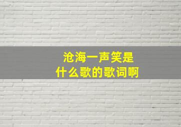 沧海一声笑是什么歌的歌词啊