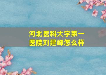 河北医科大学第一医院刘建峰怎么样