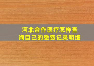 河北合作医疗怎样查询自己的缴费记录明细