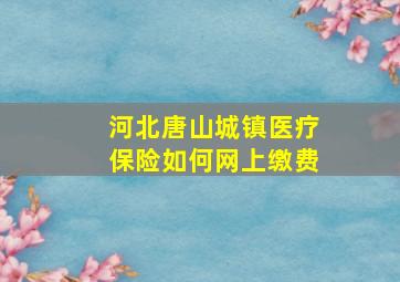 河北唐山城镇医疗保险如何网上缴费