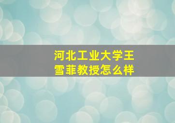 河北工业大学王雪菲教授怎么样