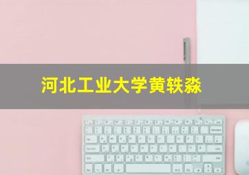 河北工业大学黄轶淼