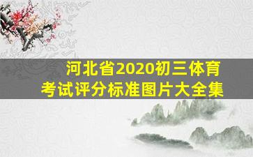 河北省2020初三体育考试评分标准图片大全集