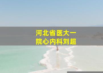 河北省医大一院心内科刘超