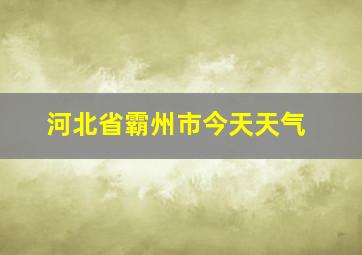 河北省霸州市今天天气