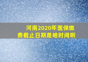 河南2020年医保缴费截止日期是啥时间啊