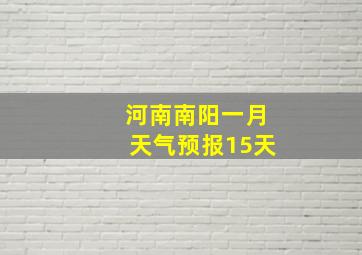 河南南阳一月天气预报15天