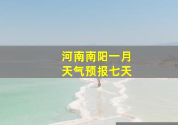 河南南阳一月天气预报七天