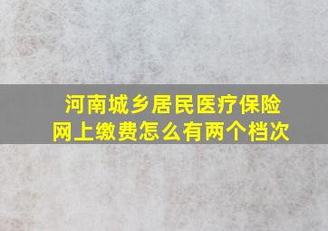 河南城乡居民医疗保险网上缴费怎么有两个档次