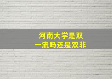 河南大学是双一流吗还是双非