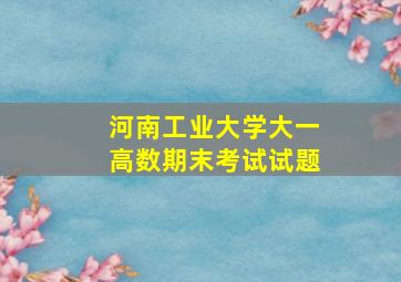 河南工业大学大一高数期末考试试题