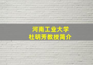 河南工业大学杜明芳教授简介