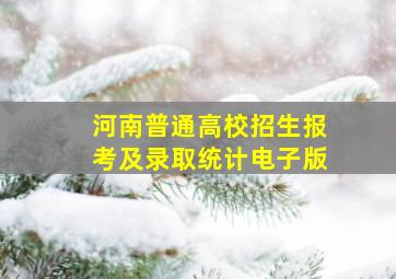 河南普通高校招生报考及录取统计电子版