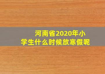 河南省2020年小学生什么时候放寒假呢