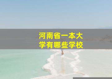 河南省一本大学有哪些学校