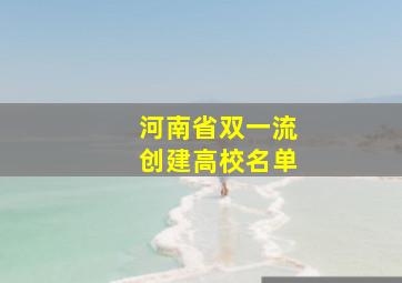 河南省双一流创建高校名单