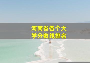 河南省各个大学分数线排名