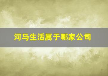 河马生活属于哪家公司