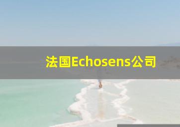 法国Echosens公司