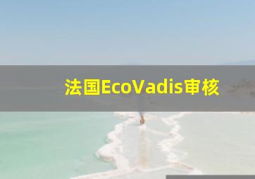 法国EcoVadis审核