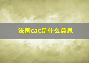 法国cac是什么意思