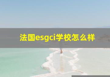 法国esgci学校怎么样