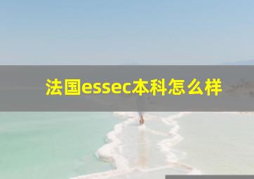 法国essec本科怎么样