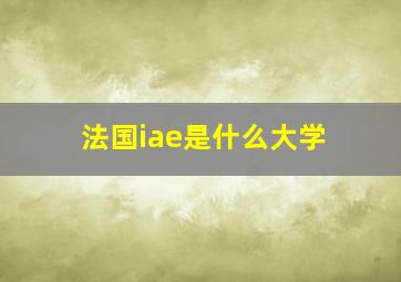 法国iae是什么大学