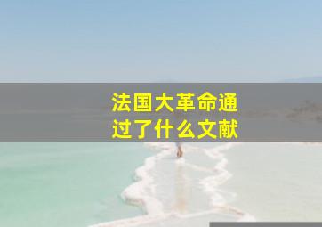 法国大革命通过了什么文献