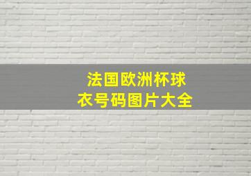 法国欧洲杯球衣号码图片大全