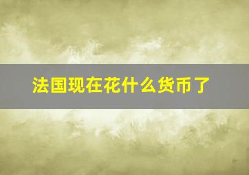 法国现在花什么货币了