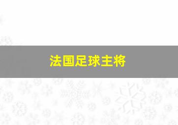 法国足球主将