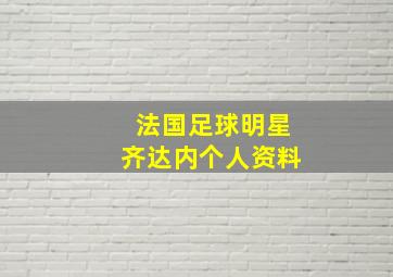 法国足球明星齐达内个人资料