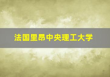 法国里昂中央理工大学