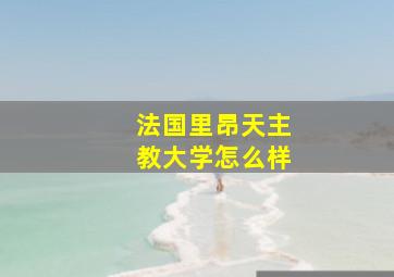 法国里昂天主教大学怎么样