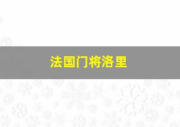 法国门将洛里