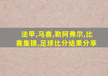 法甲,马赛,勒阿弗尔,比赛集锦,足球比分结果分享