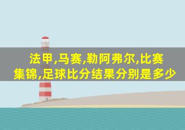 法甲,马赛,勒阿弗尔,比赛集锦,足球比分结果分别是多少