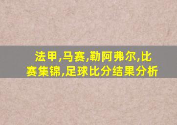 法甲,马赛,勒阿弗尔,比赛集锦,足球比分结果分析