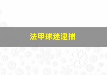 法甲球迷逮捕