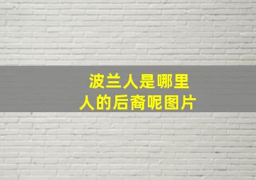 波兰人是哪里人的后裔呢图片