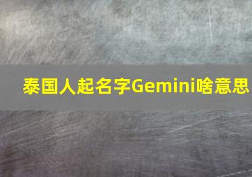 泰国人起名字Gemini啥意思