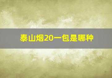 泰山烟20一包是哪种