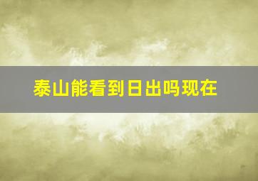 泰山能看到日出吗现在