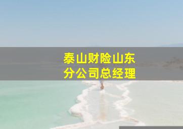 泰山财险山东分公司总经理