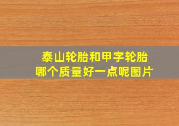 泰山轮胎和甲字轮胎哪个质量好一点呢图片