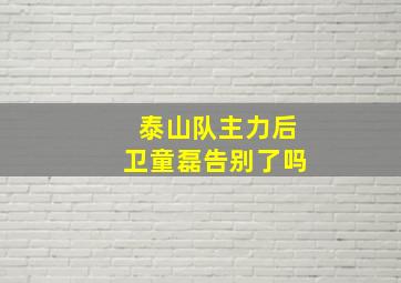 泰山队主力后卫童磊告别了吗