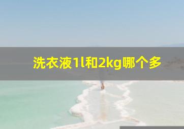 洗衣液1l和2kg哪个多