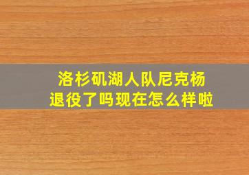 洛杉矶湖人队尼克杨退役了吗现在怎么样啦