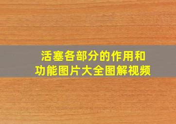 活塞各部分的作用和功能图片大全图解视频